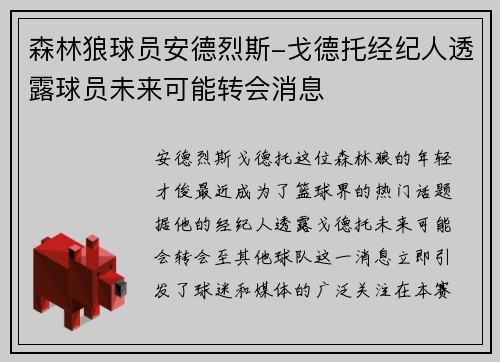 森林狼球员安德烈斯-戈德托经纪人透露球员未来可能转会消息